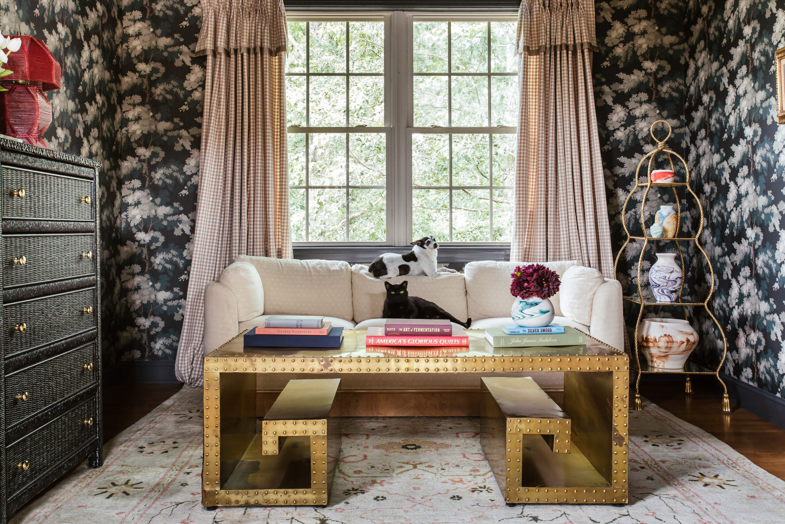 Moody sitting room with gingham curtains, a cat and dog on the sofa in front of the window